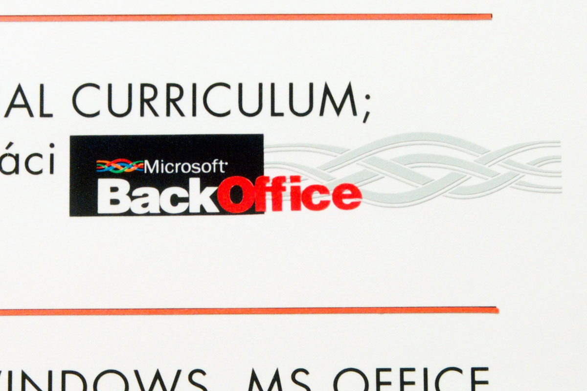 Detail loga, kompletně řezaná reklama, v době před digitálním tiskem logo BackOffice zhotoveno pomocí řezacího plotru, před nástupem velkoplošného digitálního tisku